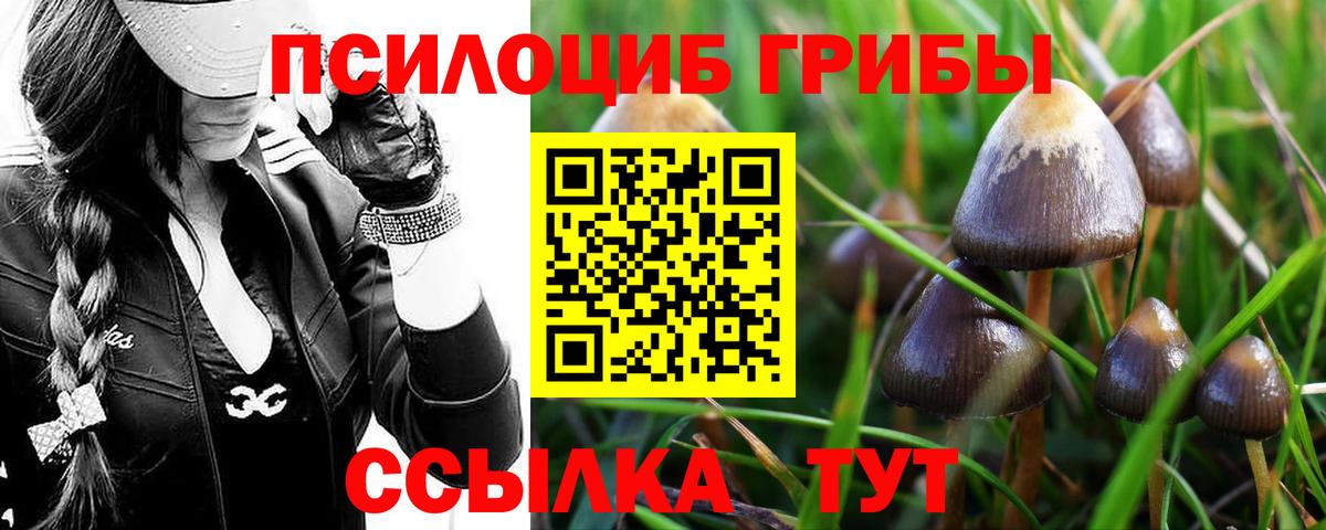 Псилоцибиновые грибы мухоморы Горно-Алтайск