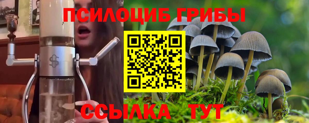 Горно-Алтайск  Галлюциногенные грибы ЛСД  Галлюциногенные грибы Cubensis  Вход с VPN 